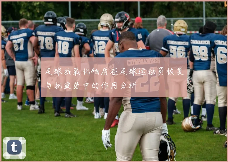 足球抗氧化物质在足球运动员恢复与抗疲劳中的作用分析